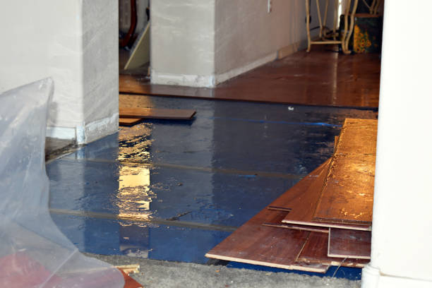 Professional Basement Flood Cleanup technician working in North Versailles, PA
